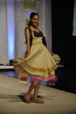 Model walk the ramp at The Annual SNDT college fashion showcase in  St Andrews, Bandra, Mumbai on 23rd Feb 2011.JPG