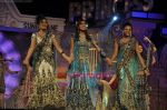 at The Indian princess Finale in Chitrakoot, Andheri, Mumbai on 25th Feb 2011 (35).JPG
