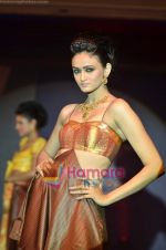 Model walks the ramp for Waman Hari Pethi jewellery show in Novotel on 6th March 2011 (30).JPG