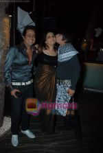 Rohit Verma at Rashmi Bagga_s birthday bash in Vie Lounge on 10th March 2011 (51).JPG
