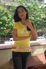 Amrita Rao at the first look of film Love U Mr Kalaakar on 11th March 2011 (11).JPG
