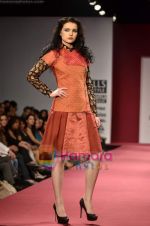 Model walks the ramp for Ritu Kumar show on Wills Lifestyle India Fashion Week 2011 - Day 2 in Delhi on 7th April 2011 (46).JPG
