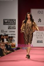 Model walks the ramp for Ritu Kumar show on Wills Lifestyle India Fashion Week 2011 - Day 2 in Delhi on 7th April 2011 (57).JPG
