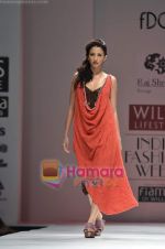Model walks the ramp for Raj Shroff show on Wills Lifestyle India Fashion Week 2011 - Day 3 in Delhi on 8th April 2011 (37).JPG