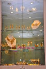 at Amrapali_s 3rd store launch in Trident, Mumbai on 3rd May 2011 (38).JPG