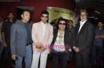 Amitabh Bachchan, Jeetendra at Ragini MMS Premiere in Cinemax, Andheri, Mumbai on 12th May 2011 (40).JPG