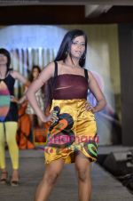 at Sasmira colelge annual fashion show in Worli, Mumbai on 13th May 2011 (65).JPG