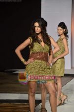 at Rachna Sansad Fashion show in Ravindra Natya Mandir on 18th May 2011 (22).JPG