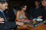 Nandini Jumani at Nandini Jumani_s birthday bash in Marimba Lounge on 2nd June 2011.JPG