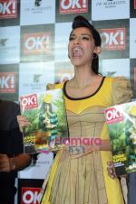 Sonam Kapoor at OK magazine cover launch in Enigma on 10th June 2011 (39).JPG
