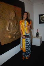 Nethra Raghuraman at Nisha Jamwal_s art event for artist Punaam Salecha in Kala Ghoda on 16th June 2011 (28).JPG
