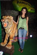 Alecia Raut at Rainforest restaurant launch in Andheri on 17th June 2011 (23).JPG