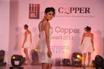 Model walk the ramp for IIID-Copper show in ITC Parel, Mumbai on 21st July 2011 (11).JPG
