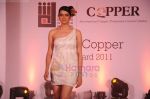 Model walk the ramp for IIID-Copper show in ITC Parel, Mumbai on 21st July 2011 (13).JPG