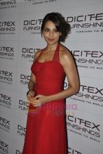 Bipasha Basu unveils Dicitex new range in The Retreat, Madh on 3rd Aug 2011 (40).JPG