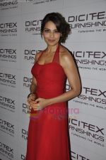 Bipasha Basu unveils Dicitex new range in The Retreat, Madh on 3rd Aug 2011 (41).JPG