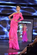 Model walks the ramp for Raakesh Aggarwal in Blenders Pride Tour day 1 in Taj Land_s End on 5th Aug 2011 (95).JPG