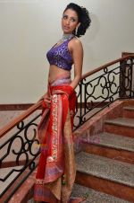Model walks the ramp for Saree designer Shruti Sancheti showcase at 7TH Retail Jeweller Awards in Lalit Hotel on 6th Aug 2011 (92).JPG