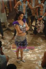 Rakhi Sawant_s item song for film Rakthbeej in Filmistan on 9th Aug 2011 (12).JPG