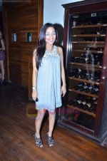 at Lakme party in Esco Bar on 18th Aug 2011 (16).JPG