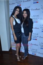 at Lakme party in Esco Bar on 18th Aug 2011 (71).JPG