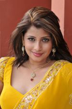 Nadeesha Hemamali in Yellow Saree Photoshoot on 23rd April 2010 (6).JPG