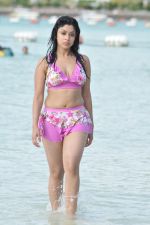 Payal Ghosh (Harika) in Bikini Swimwear Photoshoot on 30th May 2010 (1).JPG