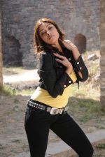 Payal Ghosh (Harika) in Modern Attire Photoshoot on 12th January 2011 (2).JPG