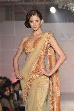 Model at Avon fashion show in Trident, Mumbai on 27th Aug 2011 (167).JPG