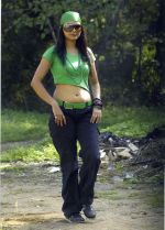 Pooja Sahu Photoshoot for movie Deyyam Vunda on 29th August 2011 (9).jpg