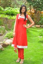 Nikitha Narayan_s Casual Photoshoot on 1st September 2011 (31).JPG