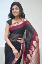 Pranitha_s Casual Shoot on 1st September 2011 (32).JPG