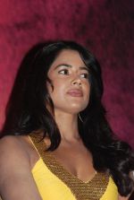 Sameera Reddy attend Vedi Movie Press Meet on 3rd September 2011 (10).jpg