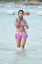 Payal Ghosh (Harika) in Bikini Swimwear Photoshoot on 30th May 2010 (110).JPG