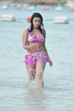 Payal Ghosh (Harika) in Bikini Swimwear Photoshoot on 30th May 2010 (111).JPG