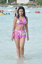Payal Ghosh (Harika) in Bikini Swimwear Photoshoot on 30th May 2010 (125).JPG