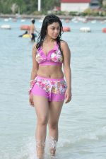 Payal Ghosh (Harika) in Bikini Swimwear Photoshoot on 30th May 2010 (128).JPG