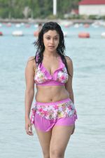 Payal Ghosh (Harika) in Bikini Swimwear Photoshoot on 30th May 2010 (129).JPG