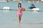 Payal Ghosh (Harika) in Bikini Swimwear Photoshoot on 30th May 2010 (137).JPG