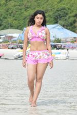 Payal Ghosh (Harika) in Bikini Swimwear Photoshoot on 30th May 2010 (45).JPG