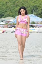 Payal Ghosh (Harika) in Bikini Swimwear Photoshoot on 30th May 2010 (46).JPG