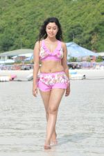 Payal Ghosh (Harika) in Bikini Swimwear Photoshoot on 30th May 2010 (50).JPG