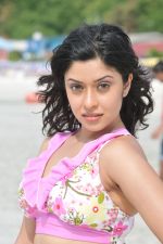 Payal Ghosh (Harika) in Bikini Swimwear Photoshoot on 30th May 2010 (64).JPG