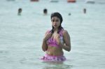 Payal Ghosh (Harika) in Bikini Swimwear Photoshoot on 30th May 2010 (84).JPG