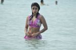 Payal Ghosh (Harika) in Bikini Swimwear Photoshoot on 30th May 2010 (87).JPG