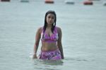Payal Ghosh (Harika) in Bikini Swimwear Photoshoot on 30th May 2010 (94).JPG