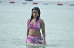 Payal Ghosh (Harika) in Bikini Swimwear Photoshoot on 30th May 2010 (96).JPG