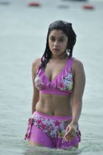 Payal Ghosh (Harika) in Bikini Swimwear Photoshoot on 30th May 2010 (97).JPG