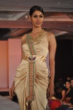 Nethra Raghuraman at WLC Chimera fashion show in Leela Hotel on 8th Sept 2011 (419).JPG