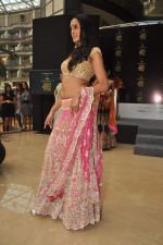 at the launch of Aamby Valley India Bridal Week in Sahara Star on 16th Sept 2011 (30).JPG